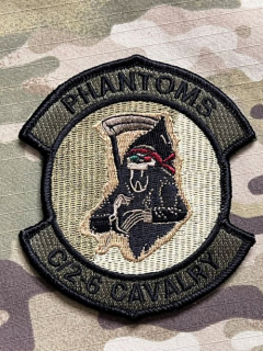 US. Army - 6th Cavalry - 2nd Squadron - Charly Troop Patch - Olive - nášivka