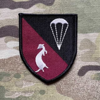 German Patch Bundeswehr FschPzAbwBtl 283 - Fallschirmpanzerabwehrbataillon 283 - nášivka