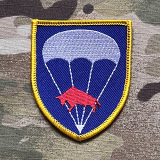 German Patch Bundeswehr FschJgBtl 314 - Fallschirmjägerbataillon 314 - nášivka