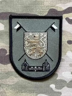 German Patch Bundeswehr PzAufklBtl 13 - Panzeraufklärungsbataillon 13 - Olive - nášivka