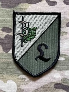 German Patch Bundeswehr JgLehrBtl 353 - Jägerlehrbataillon 353 - Olive - nášivka