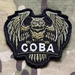 Ukrajina Military Velcro Patch Military Intelligence - Owl - nášivka