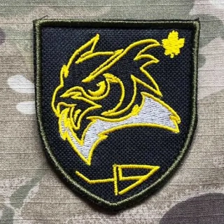 Ukrajina Military Velcro Patch 49th Intelligence Training Center - nášivka