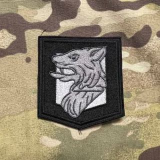 Czech Patch Police of Czech Republic - Cizinecká policie - Pardubický kraj - Black - nášivka