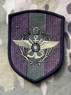 Taiwan Patch Ministry of National Defensel - Olive - nášivka