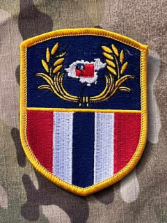 Taiwan Patch 6th Army Corps - Color - nášivka
