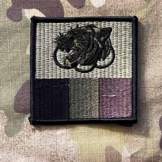Taiwan Patch 6th Army Corps - Guandu Area Command - Olive - nášivka