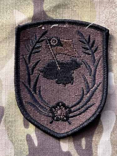 Taiwan Patch 8th Army Corps - Olive - nášivka