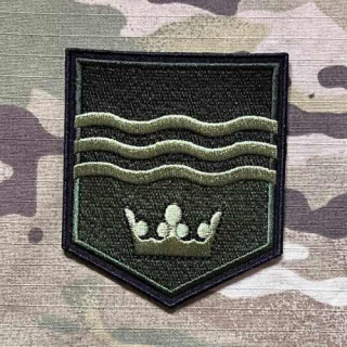 Czech Patch Czech Army - Aktivní zálohy - Pěší rota KVV - Karlovarský kraj - Olive - nášivka
