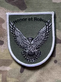 German Patch Bundeswehr FüAkBw - Führungsakademie der Bundeswehr - Armour Officers Class - Velcro - nášivka