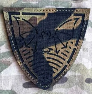 Action LaserCut Patch - Czech Army 53. pluk průzkumu a elektronického boje - vz.95 - nášivka