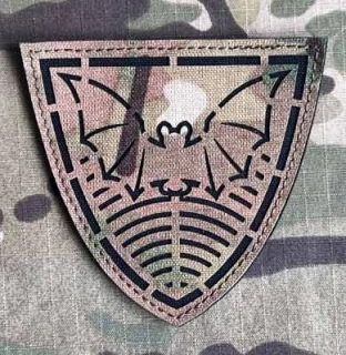 Action LaserCut Patch - Czech Army 53. pluk průzkumu a elektronického boje - Multicam - nášivka