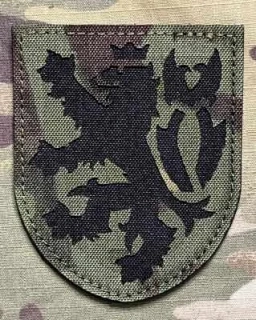 Action LaserCut Patch - Czech Coat of Arms - Large - Multicam Tropic - nášivka