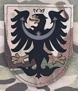 Action LaserCut Patch - Slezká Orlice - Large - Battle ver. - Multicam - nášivka