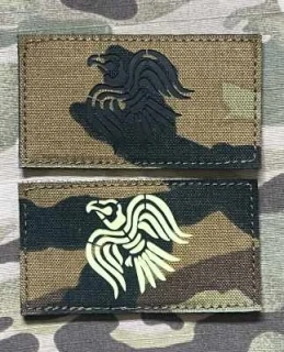 Action LaserCut Patch - Viking Raven Flag - Medium - vz.95 - nášivka