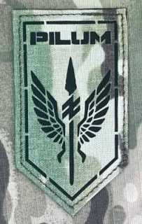 Ukrajina Military Velcro Patch 1st AZOV Corps - 41st Unmanned Systems Regiment “Pilum” - Unmanned Systems Battalion Special Forces “Hasta” LaserCut - Multicam - nášivka