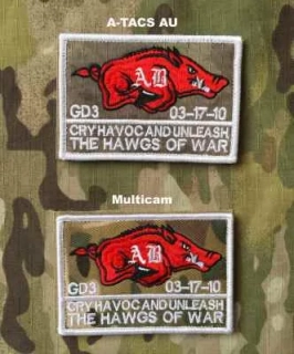YJPF Hawgs of War Patch