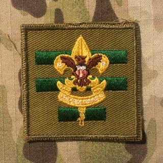 USA BSA Boy Scout - Assistant Senior Patrol Leader Patch - nášivka