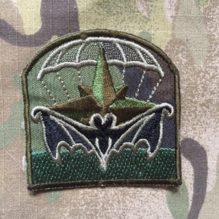 Ukrajina Military Patch 95th Airborne Brigade -  Recon Company - Camo - nášivka