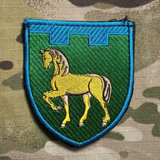 Ukrajina Military Velcro Patch 111st Separate Brigade of Territorial Defense - Luhansk region - Color - nášivka