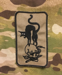 LaPatcheria Skull and Scaried Cat Patch