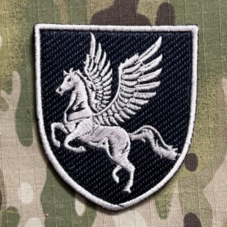 Ukrajina Military Velcro Patch Ukraina Air Force 456th Transport Aviation Brigade - Grey - nášivka