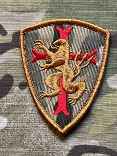 YJPF Seal Team 6 - Gold Squadron Patch - Multicam - nášivka