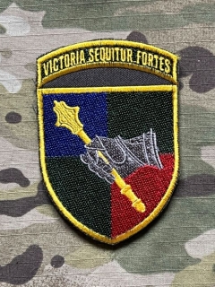 Ukrajina Military Velcro Patch Command of the Ground Forces - Color/Olive - ver.2 - nášivka